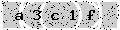 verify code