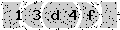 verify code