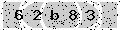 verify code