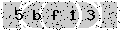 verify code