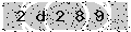 verify code