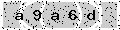 verify code