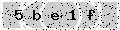 verify code