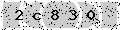 verify code