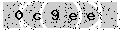 verify code