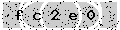 verify code