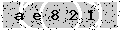 verify code