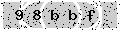 verify code
