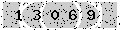 verify code