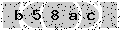 verify code