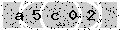 verify code