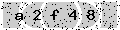verify code