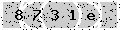 verify code