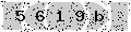 verify code