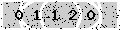 verify code