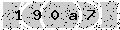 verify code