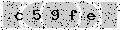 verify code