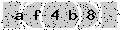 verify code