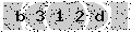 verify code