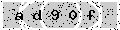 verify code