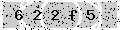 verify code