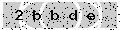 verify code