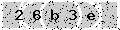 verify code