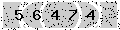 verify code
