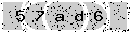 verify code