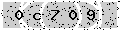 verify code
