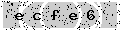 verify code