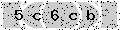 verify code