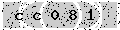 verify code