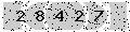 verify code