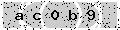 verify code