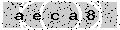 verify code