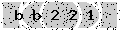 verify code
