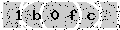 verify code