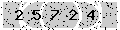 verify code