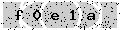 verify code