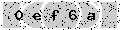 verify code