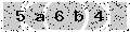 verify code
