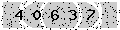 verify code