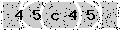 verify code