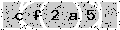 verify code