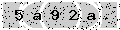 verify code