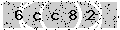 verify code