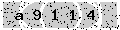 verify code