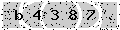 verify code