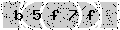 verify code